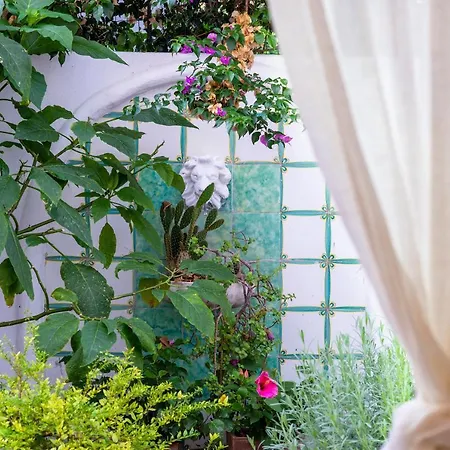 Apartament Acqua Marina, Ischia