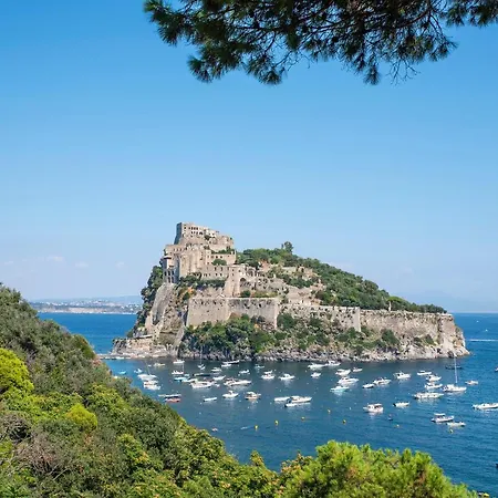Acqua Marina,
